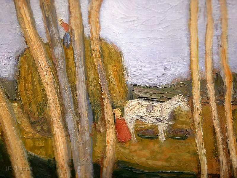 S P1540802.JPG